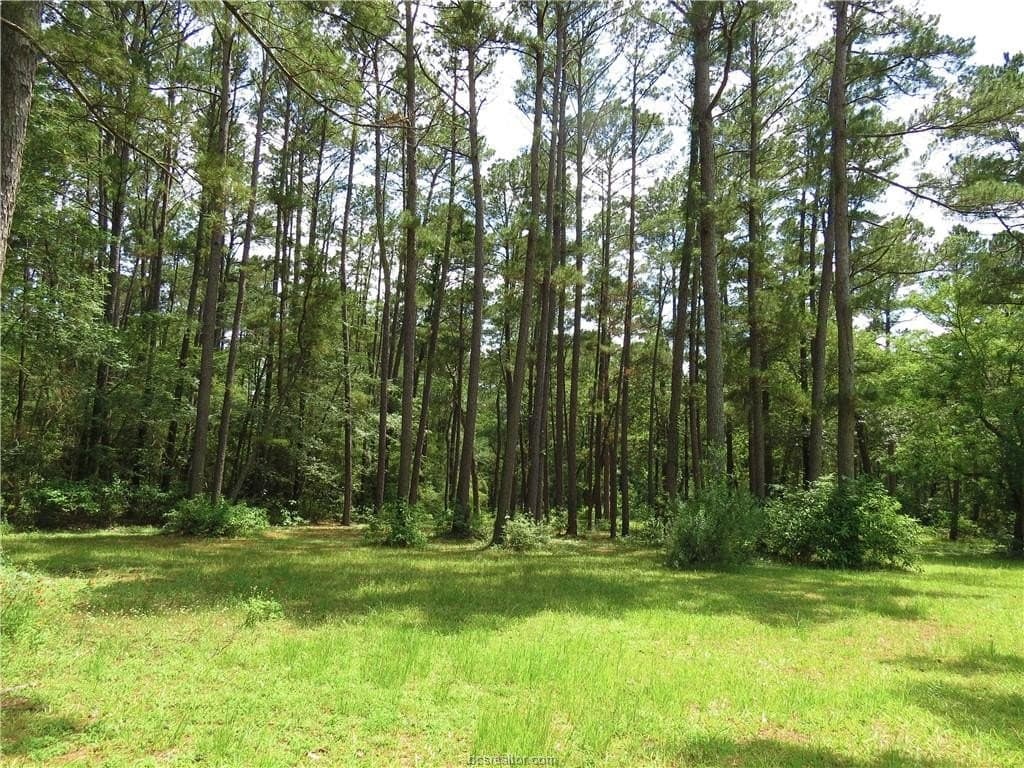 3.94 acres in Grimes County gallery image 2