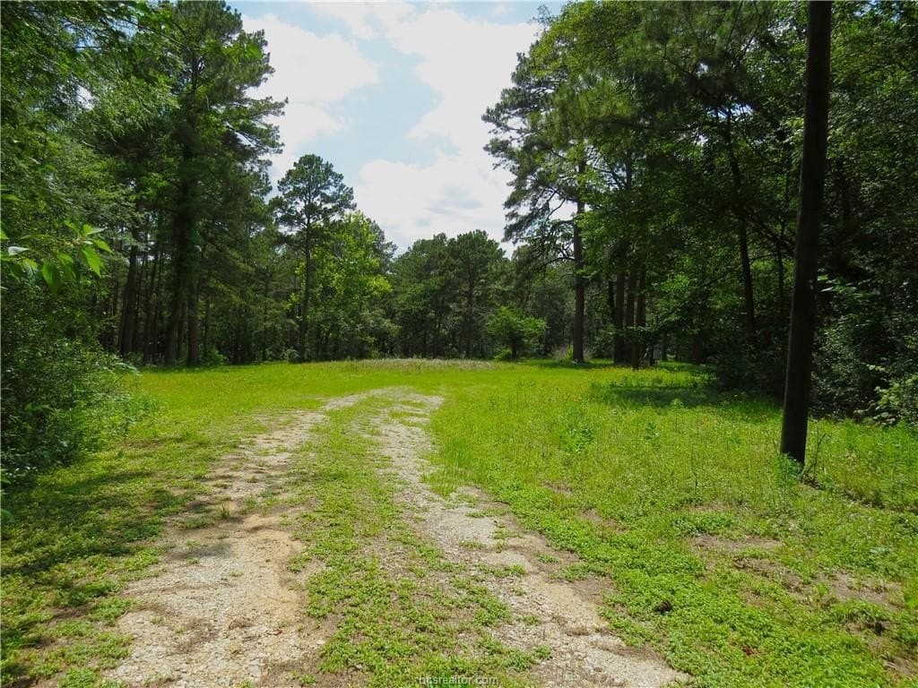3.94 acres in Grimes County