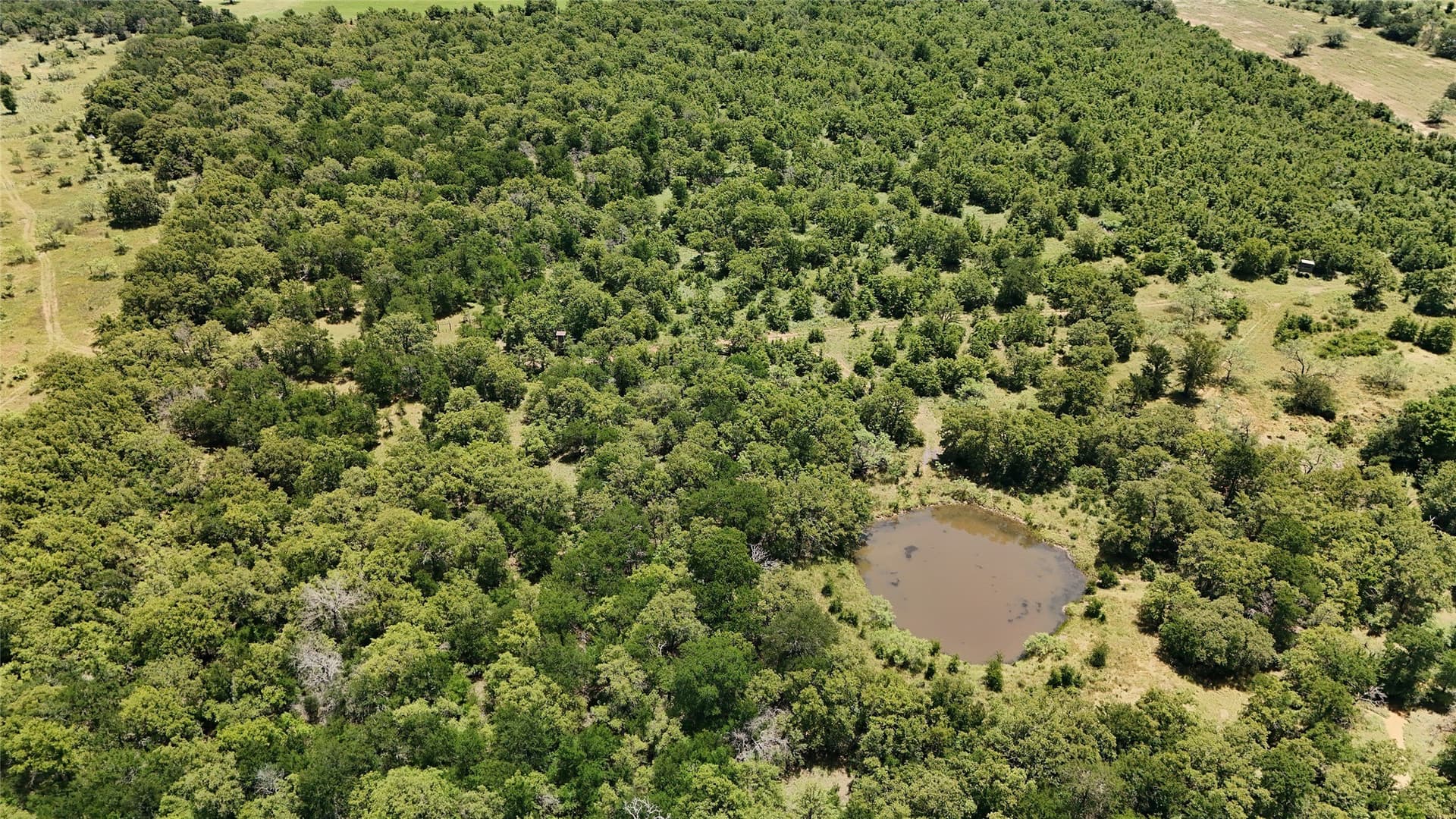 103.56 acres in Young County - photo 10