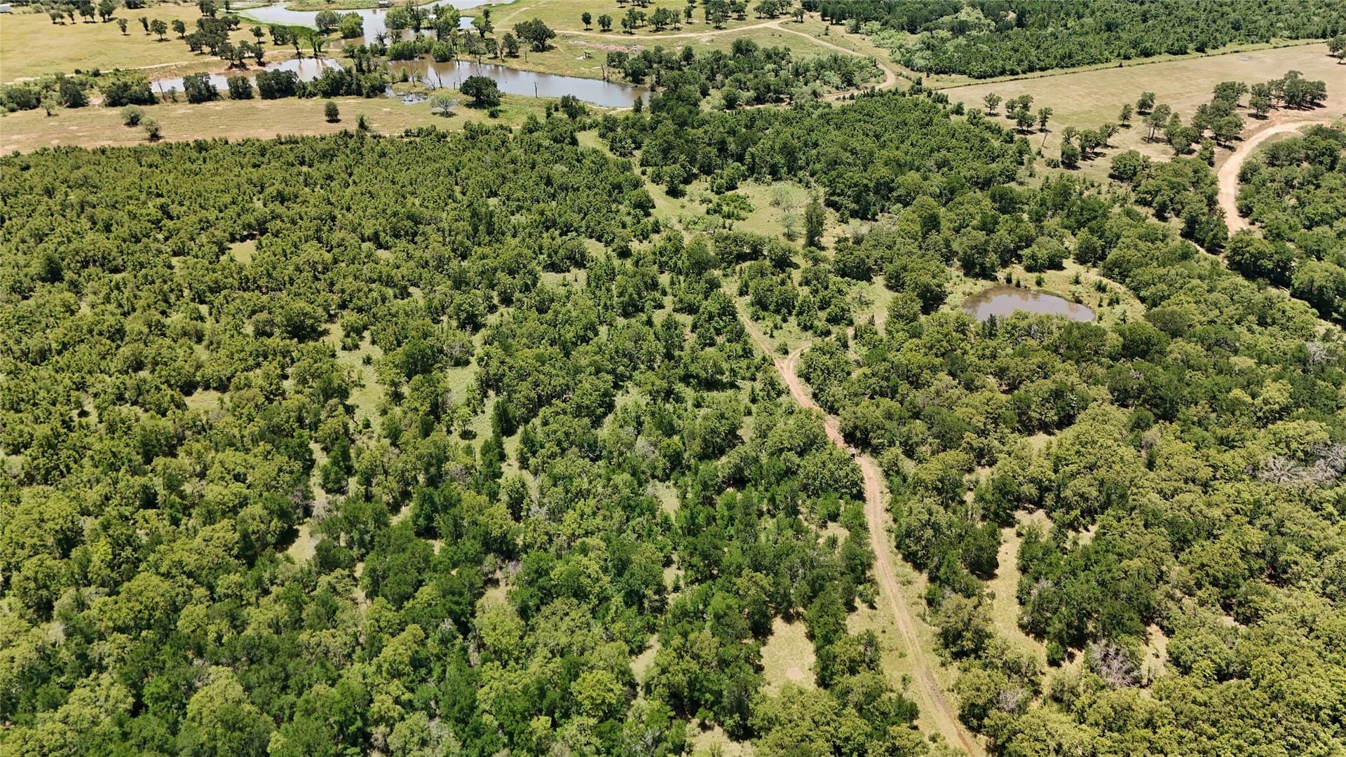 103.56 acres in Young County - photo 16