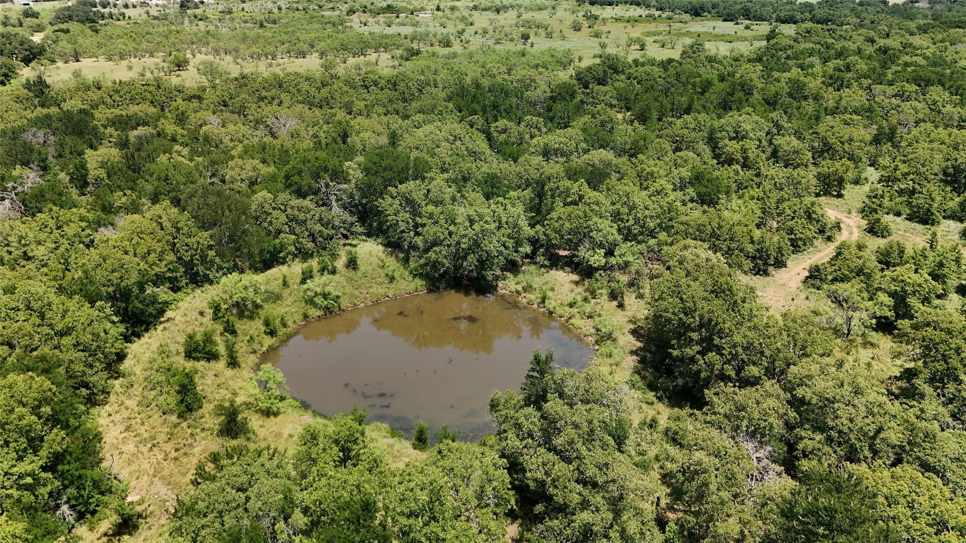 103.56 acres in Young County - photo 18