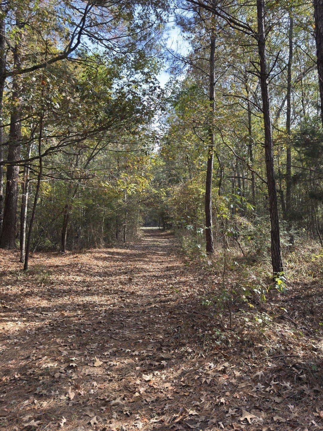 71.5 acres in Harrison County - photo 18