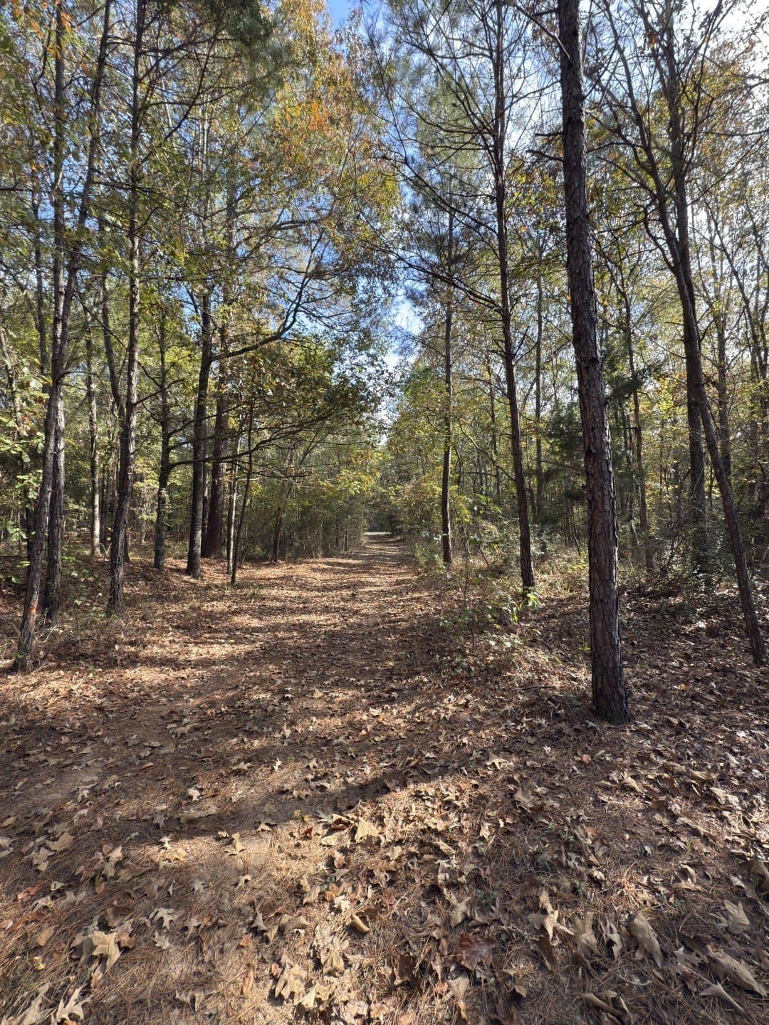 71.5 acres in Harrison County - photo 19