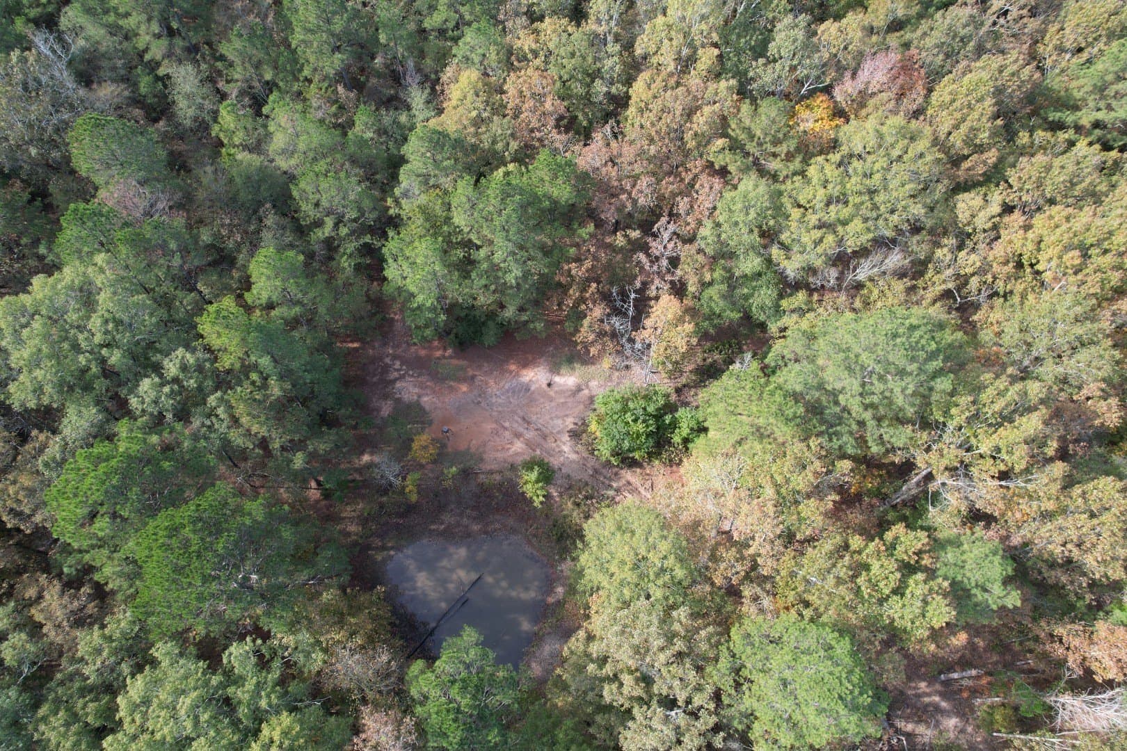 71.5 acres in Harrison County - photo 4