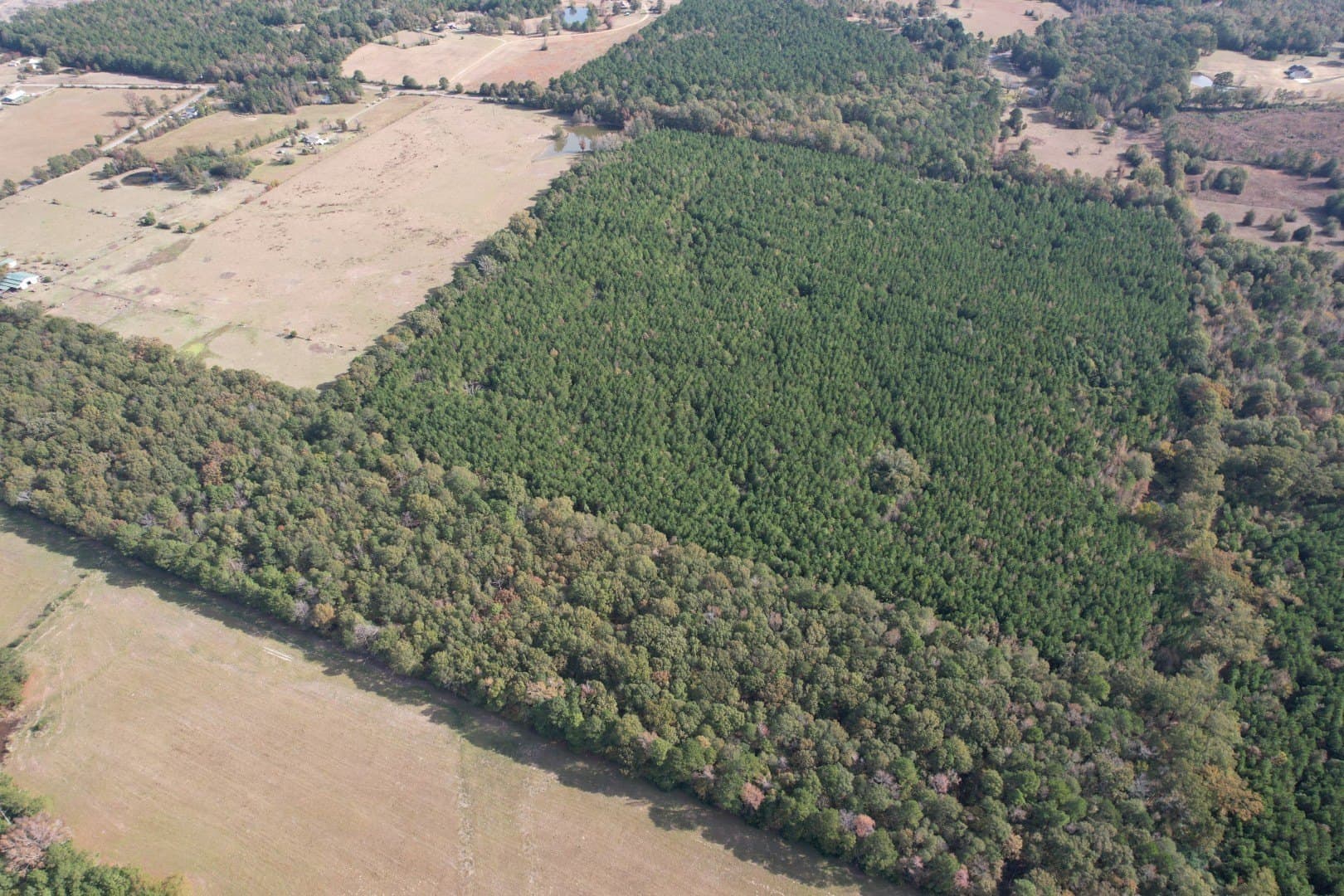 71.5 acres in Harrison County - photo 9
