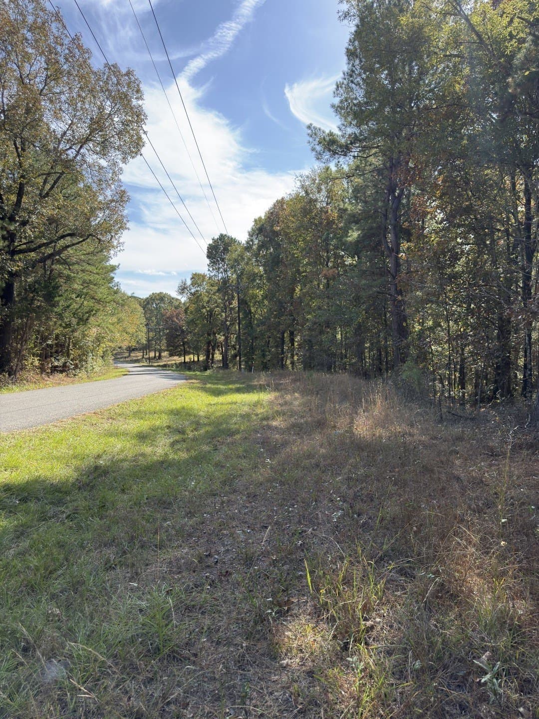 71.5 acres in Harrison County - photo 29