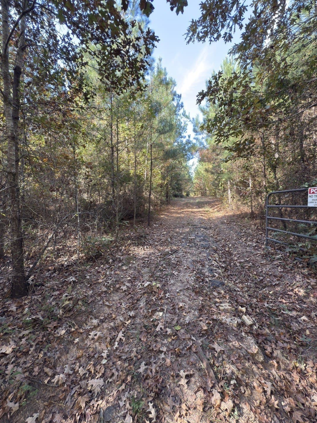 71.5 acres in Harrison County - photo 20