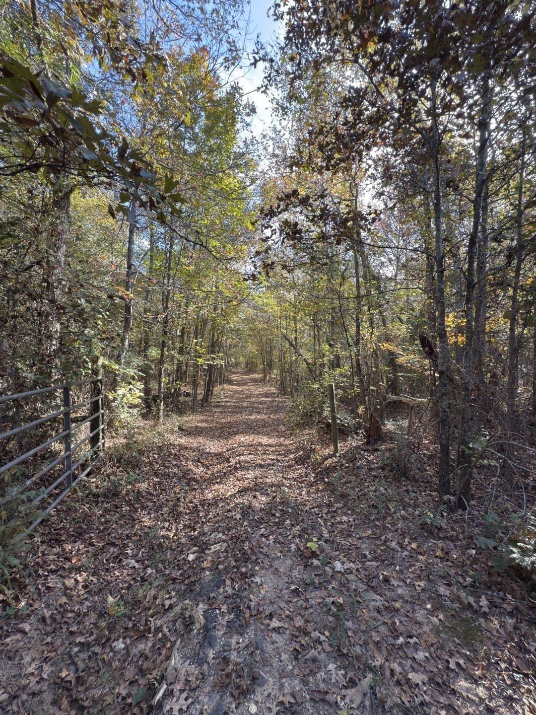 71.5 acres in Harrison County - photo 21