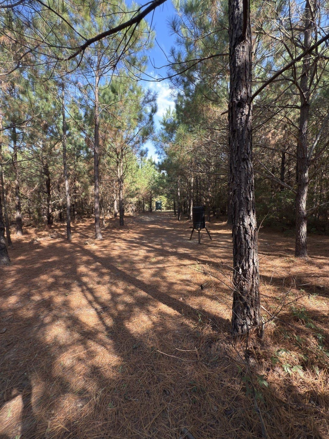 71.5 acres in Harrison County - photo 27