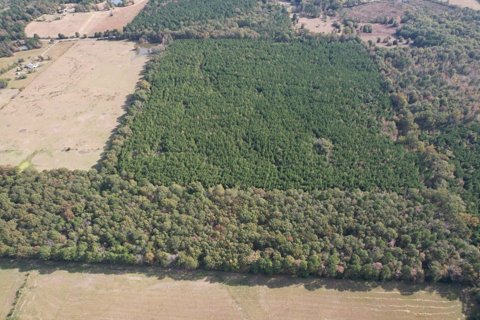 71.5 acres in Harrison County - photo 8