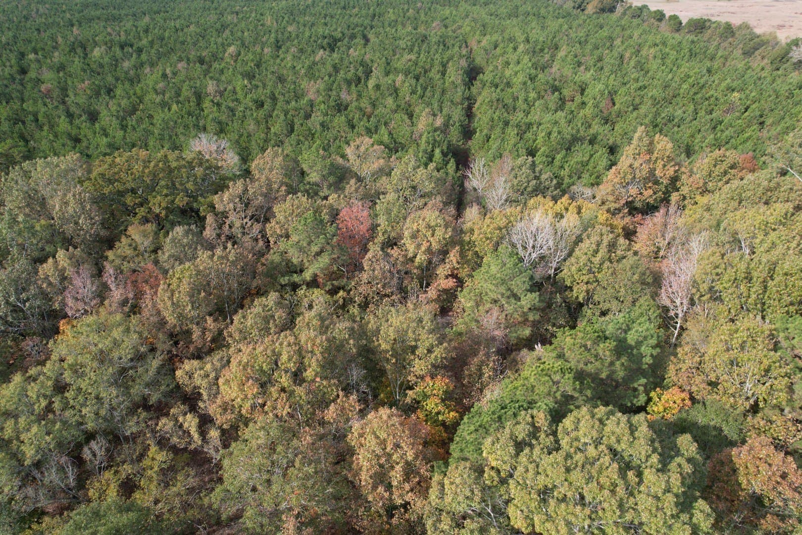 71.5 acres in Harrison County - photo 5