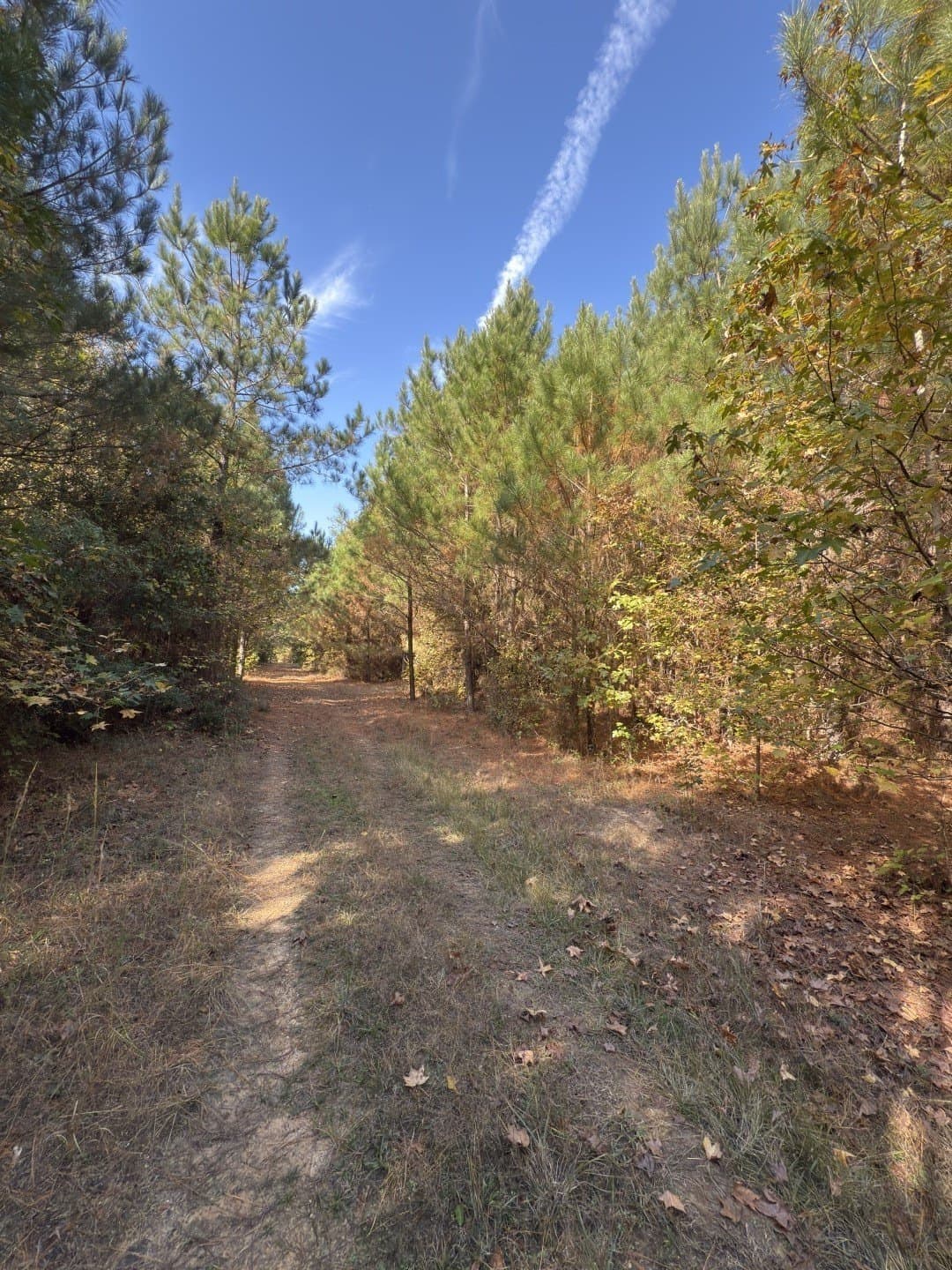 71.5 acres in Harrison County - photo 22