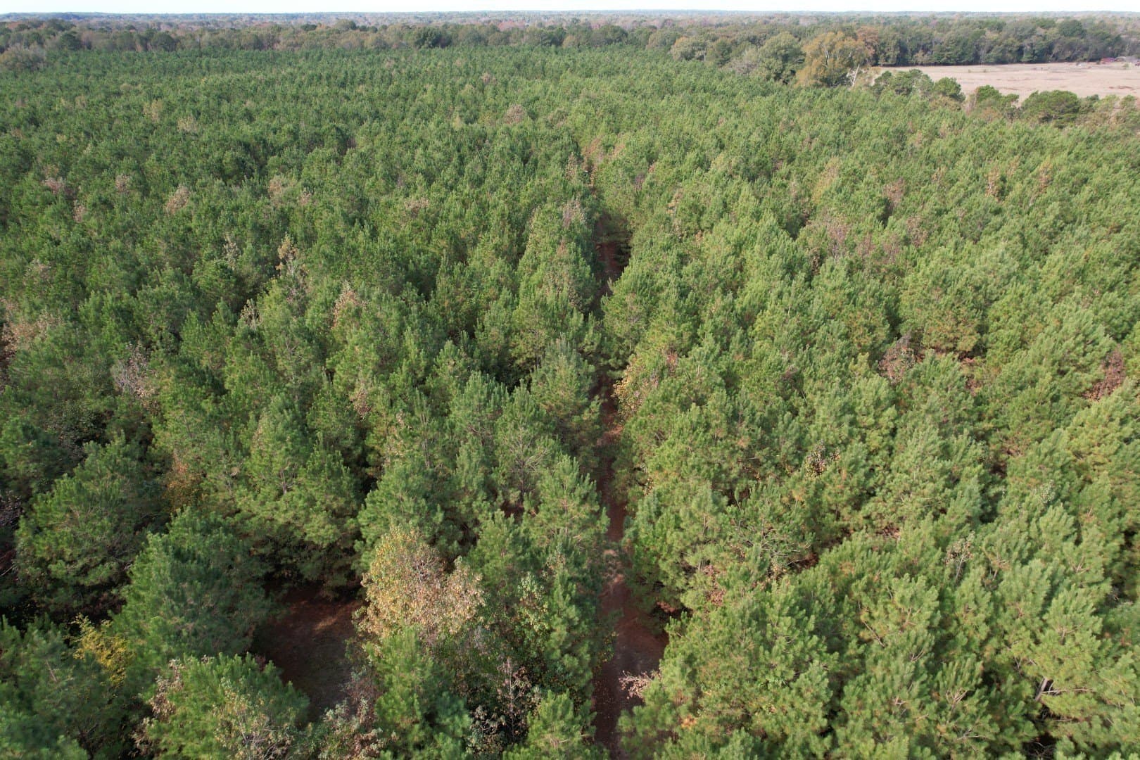 71.5 acres in Harrison County - photo 6