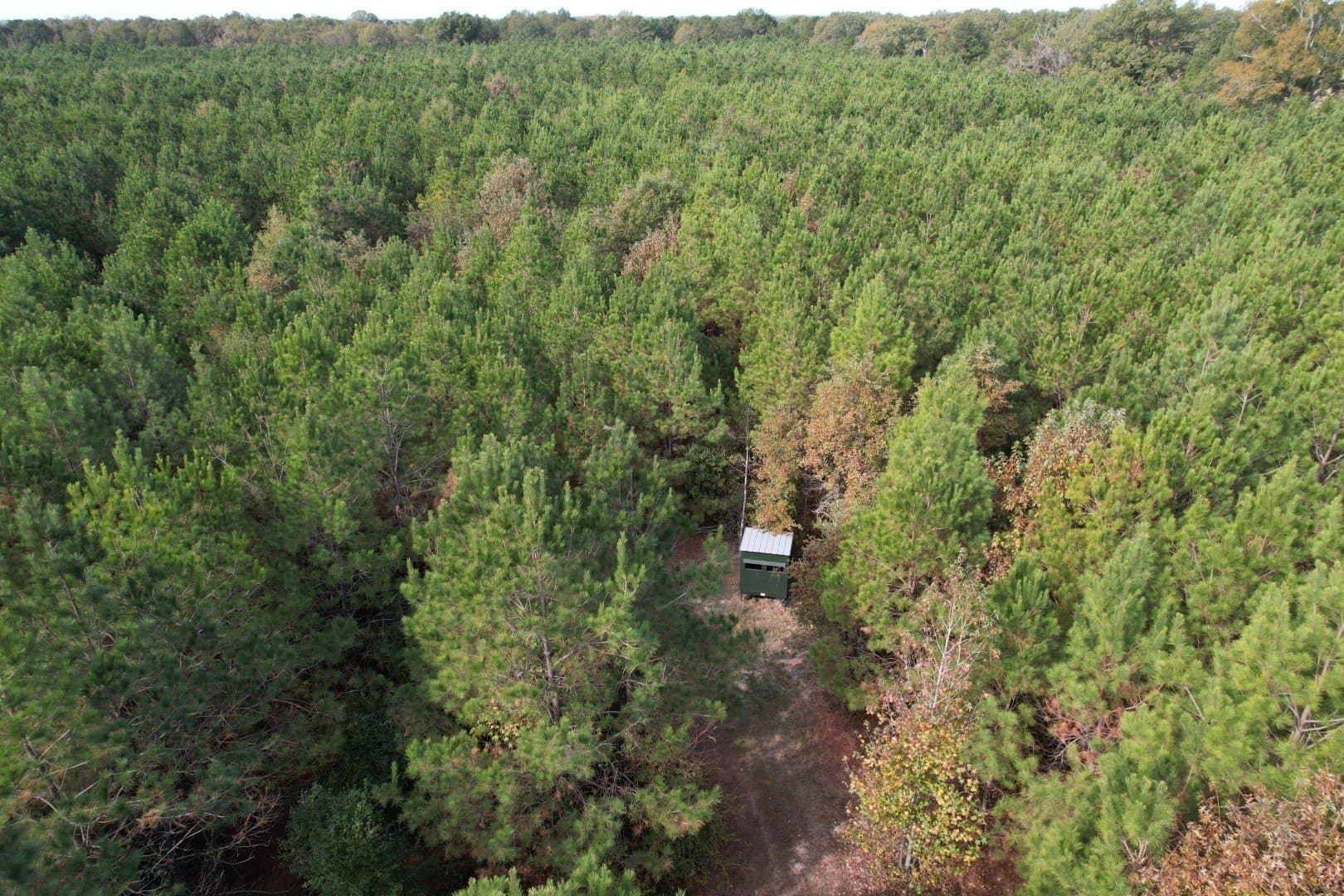 71.5 acres in Harrison County - photo 7