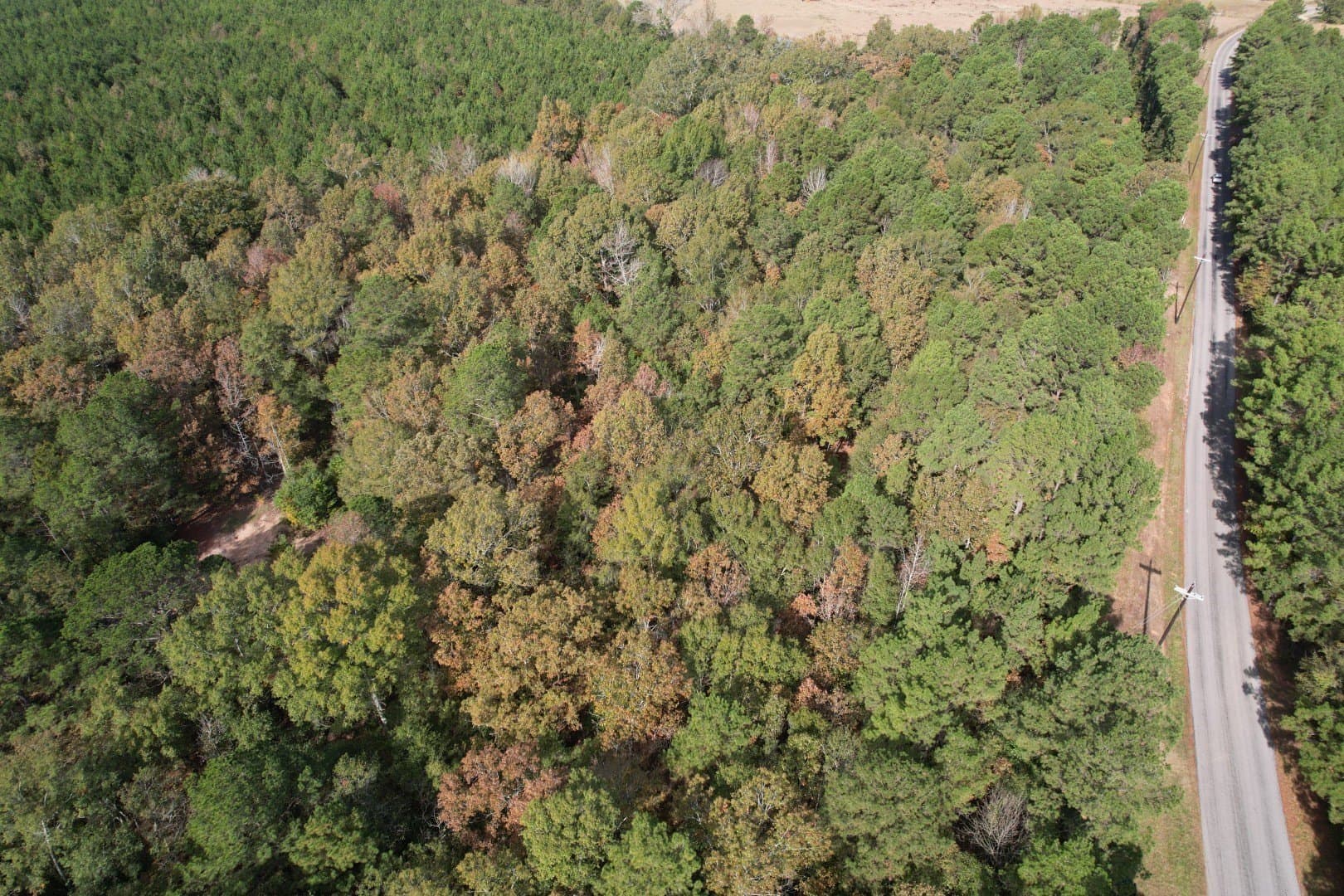 71.5 acres in Harrison County - photo 11