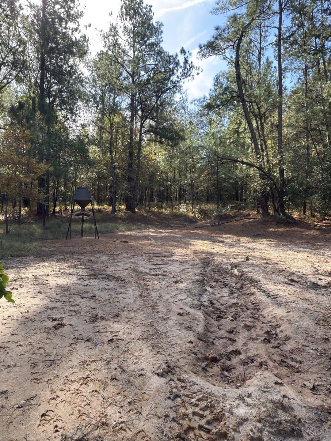 71.5 acres in Harrison County - photo 17