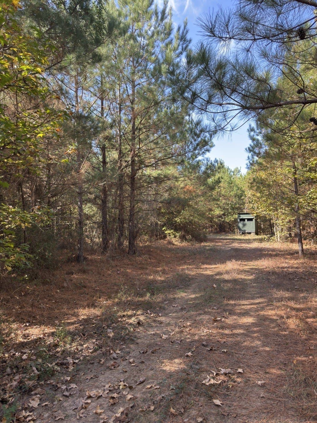 71.5 acres in Harrison County - photo 24