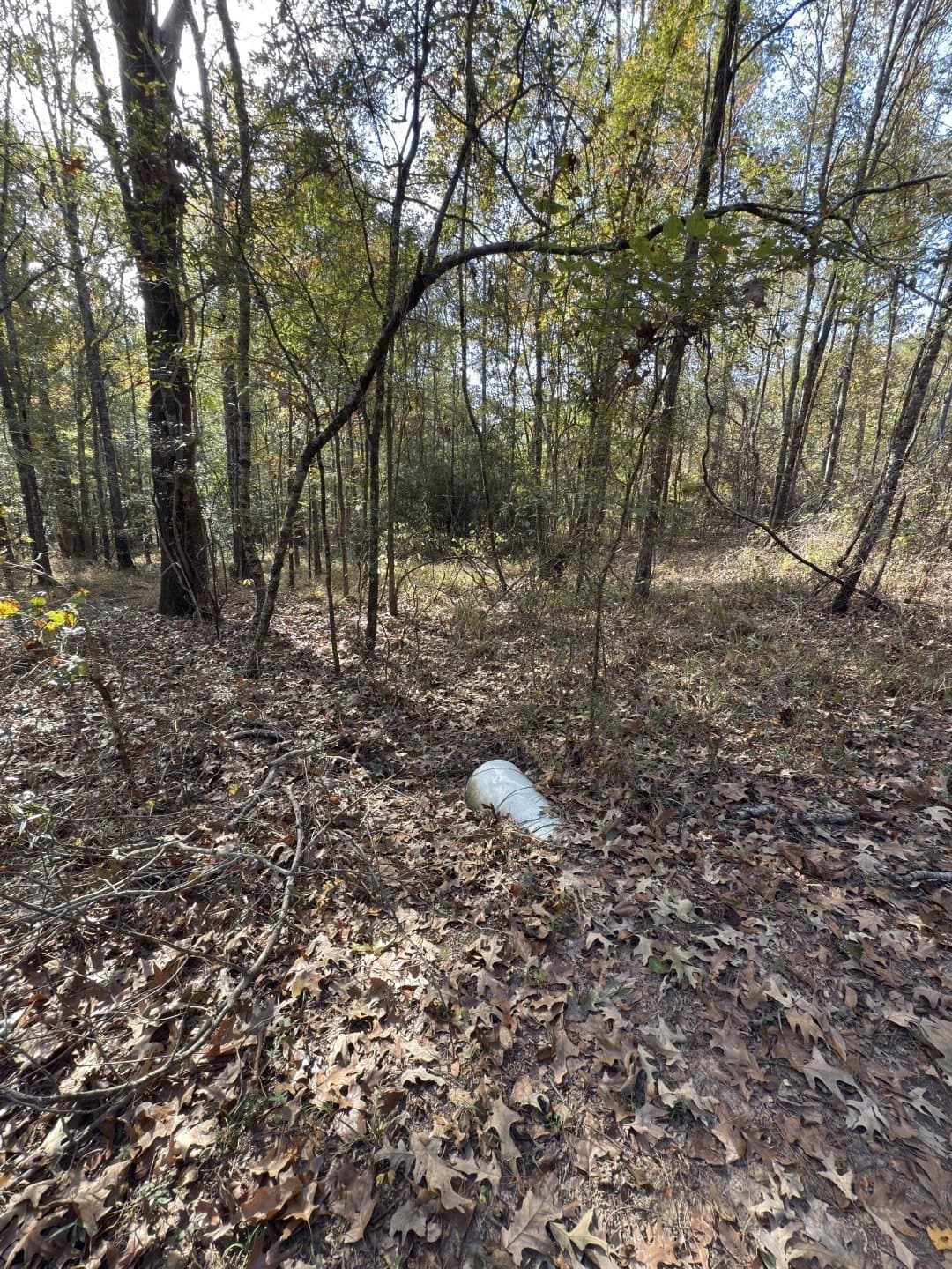 71.5 acres in Harrison County - photo 14