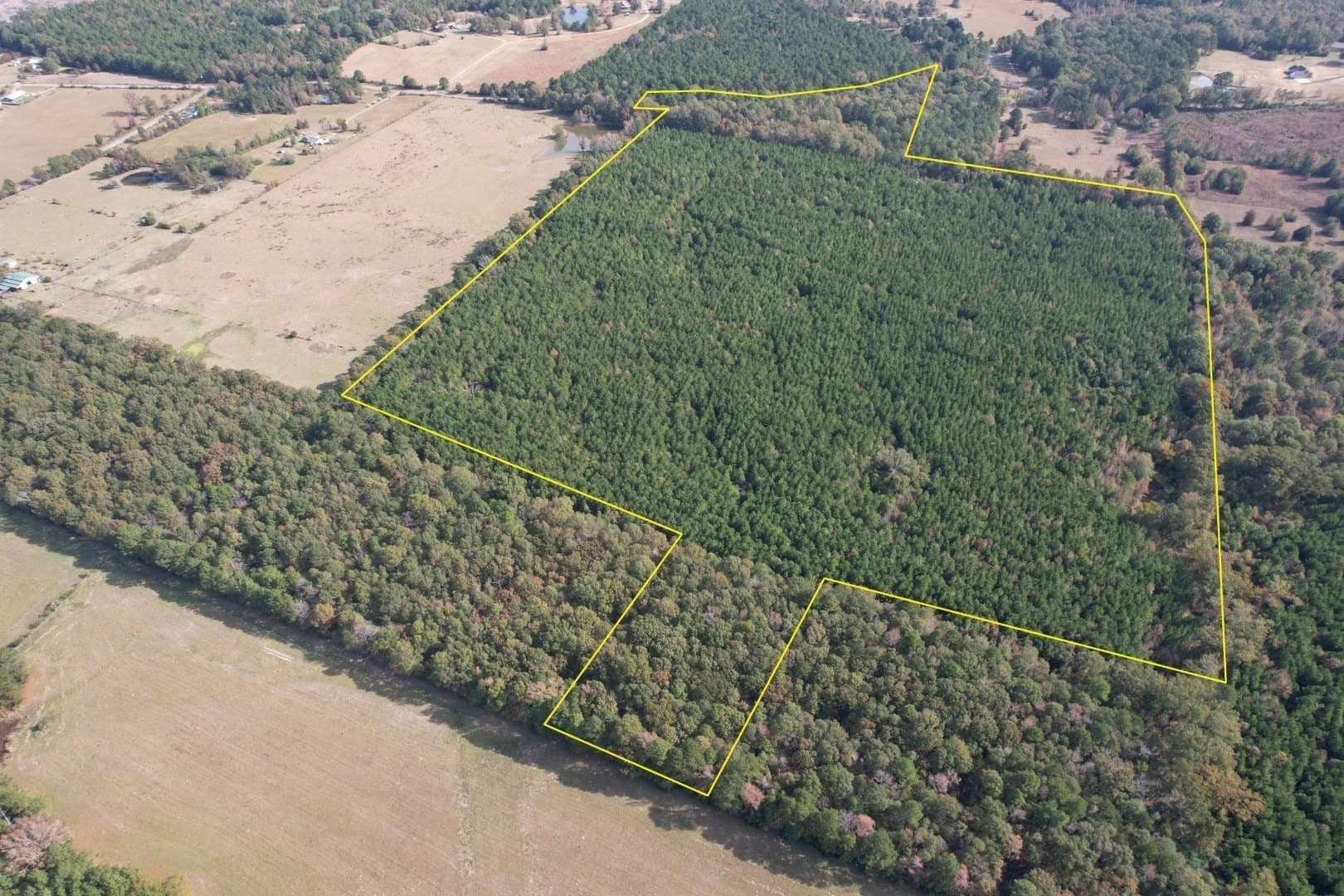 71.5 acres in Harrison County - photo 32