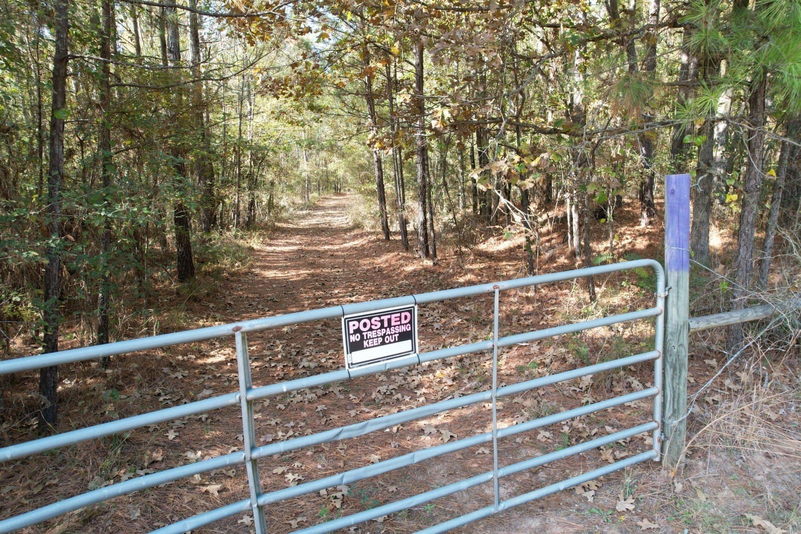 71.5 acres in Harrison County - photo 12