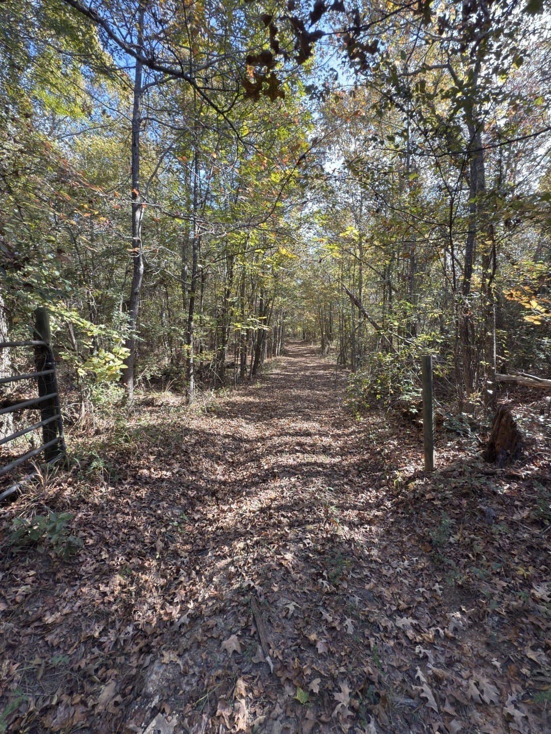 71.5 acres in Harrison County - photo 28