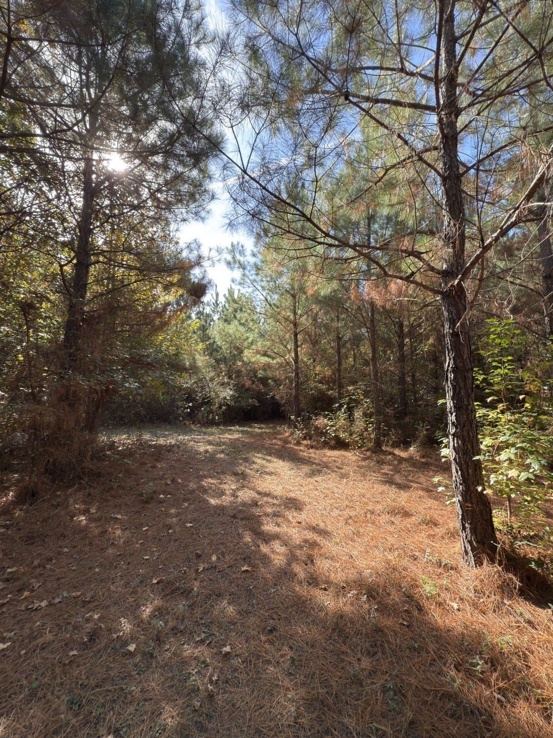 71.5 acres in Harrison County - photo 23