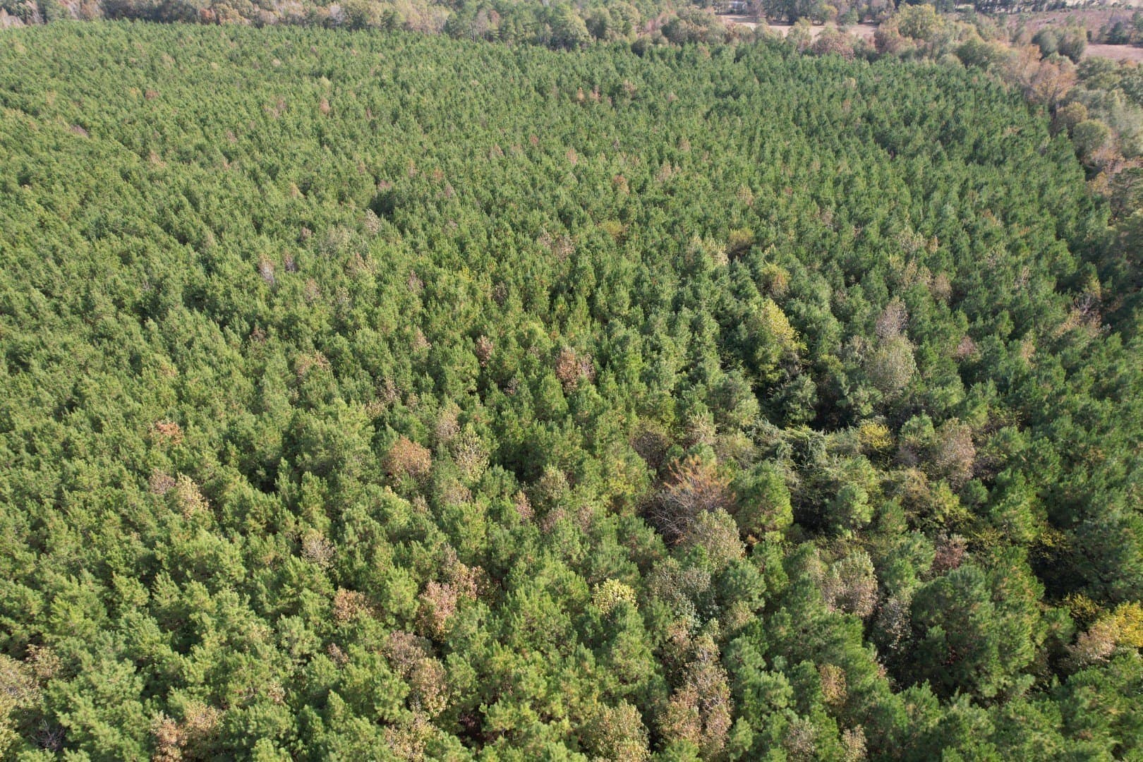 71.5 acres in Harrison County - photo 10