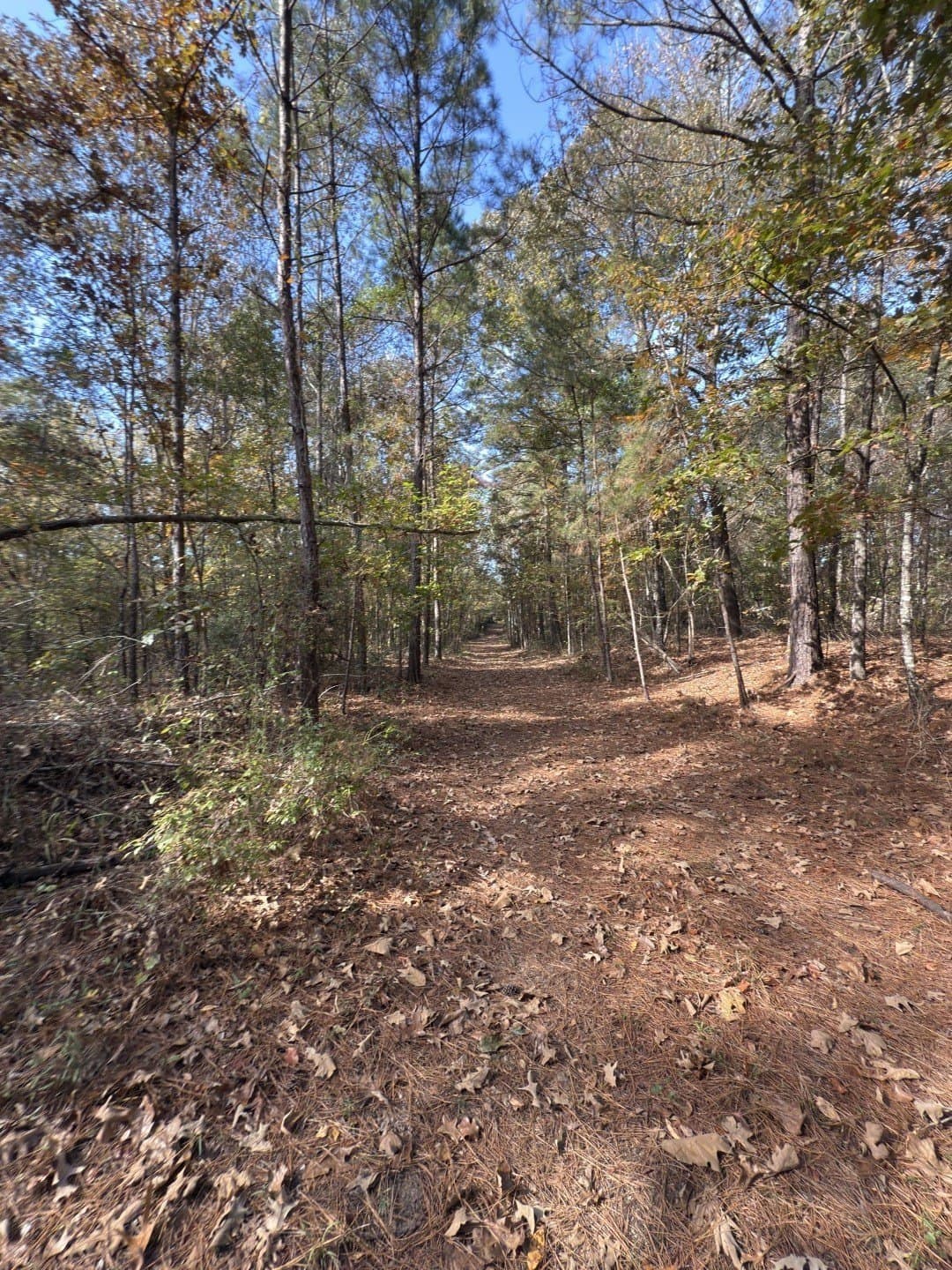 71.5 acres in Harrison County - photo 16