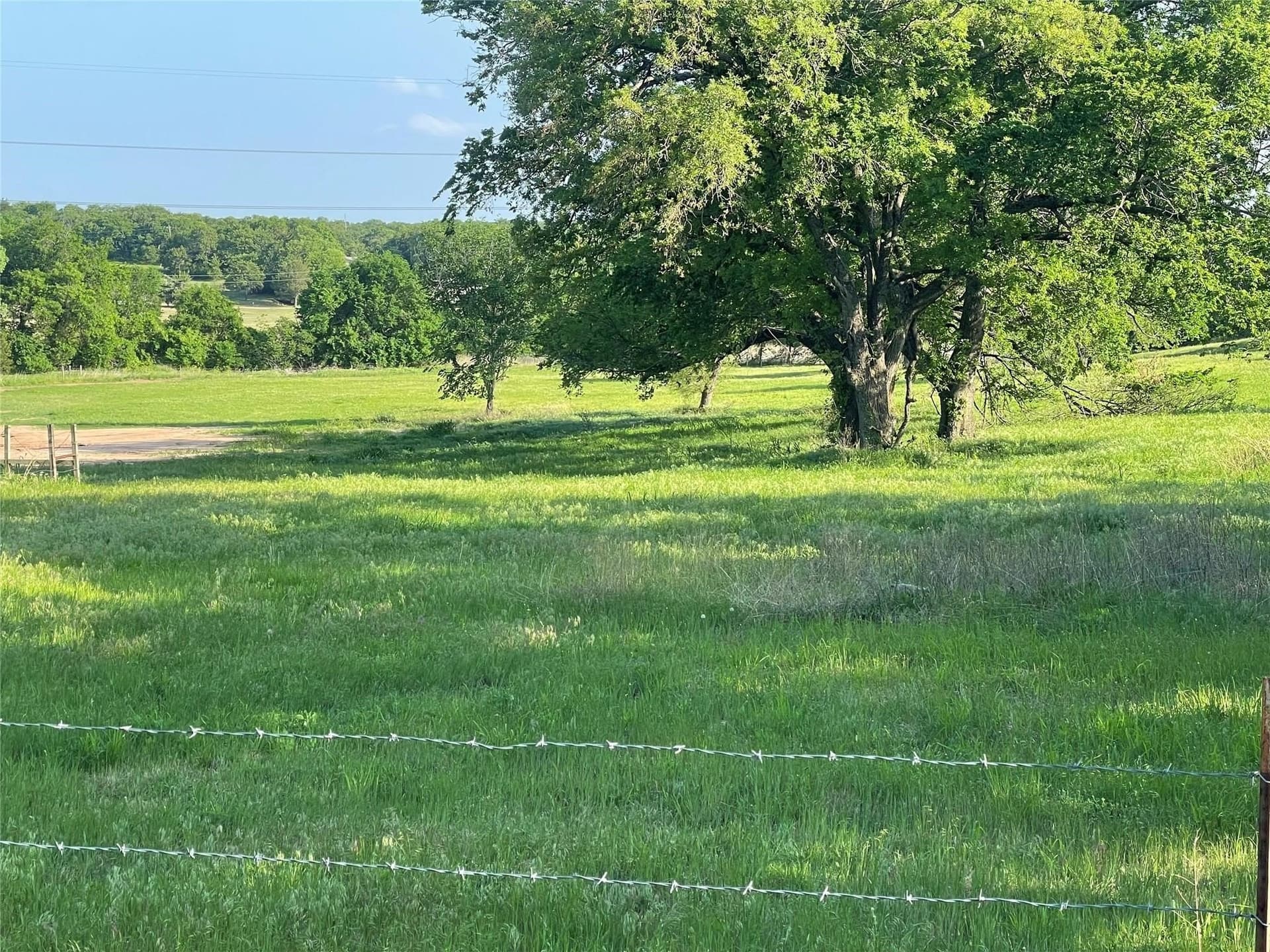 19.99 acres in Wise County - photo 4