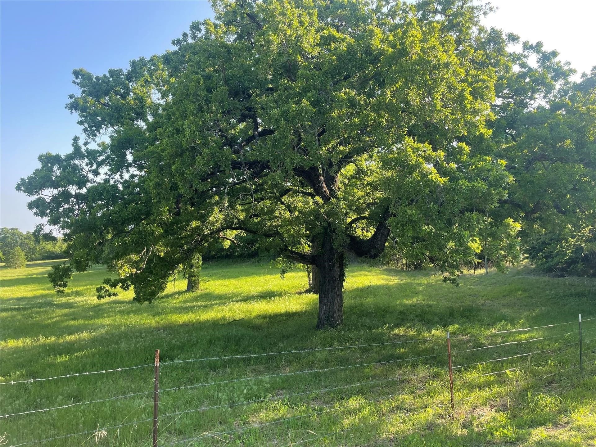 19.99 acres in Wise County - photo 2