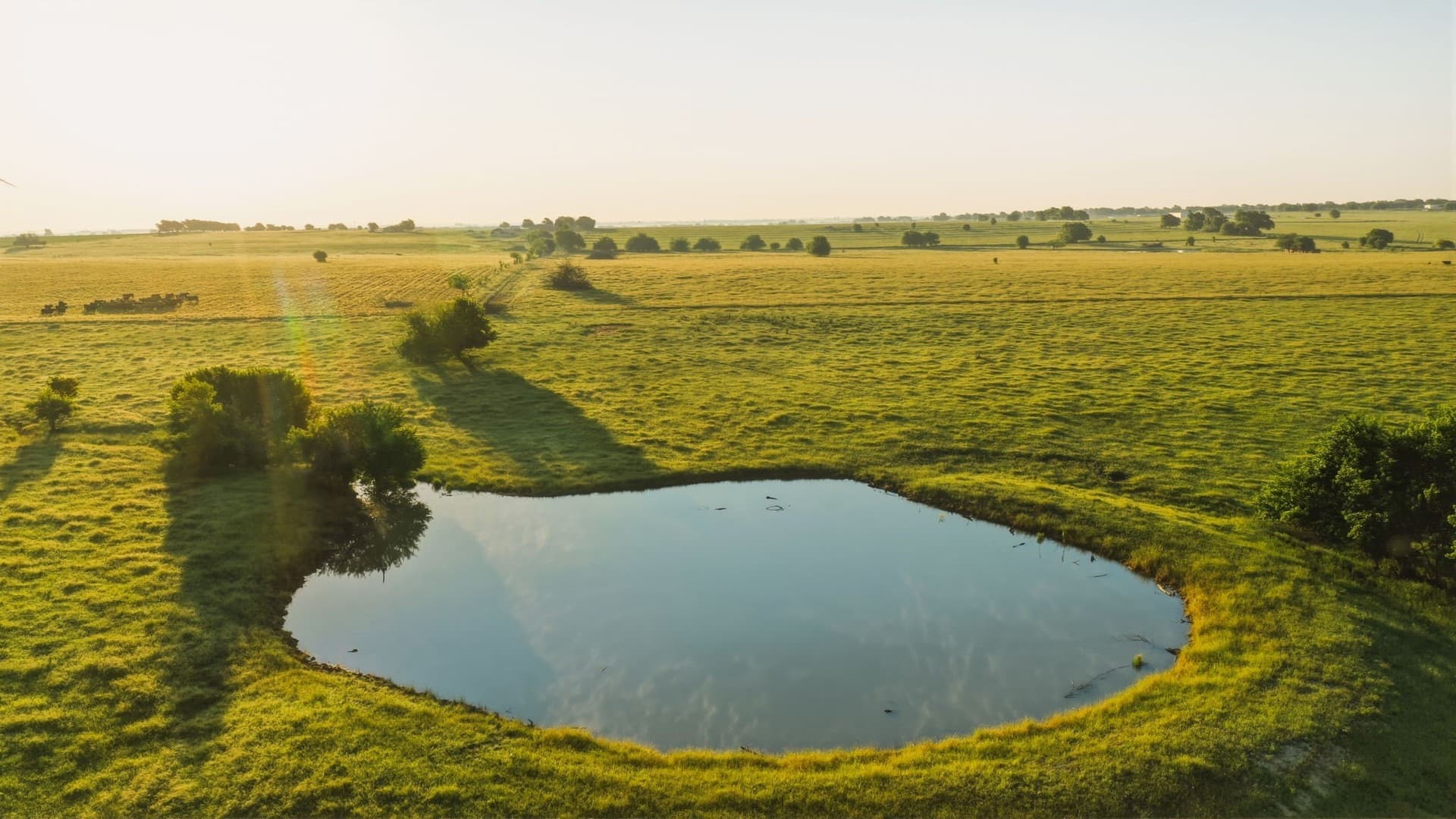 159.06 acres in Cooke County - photo 13
