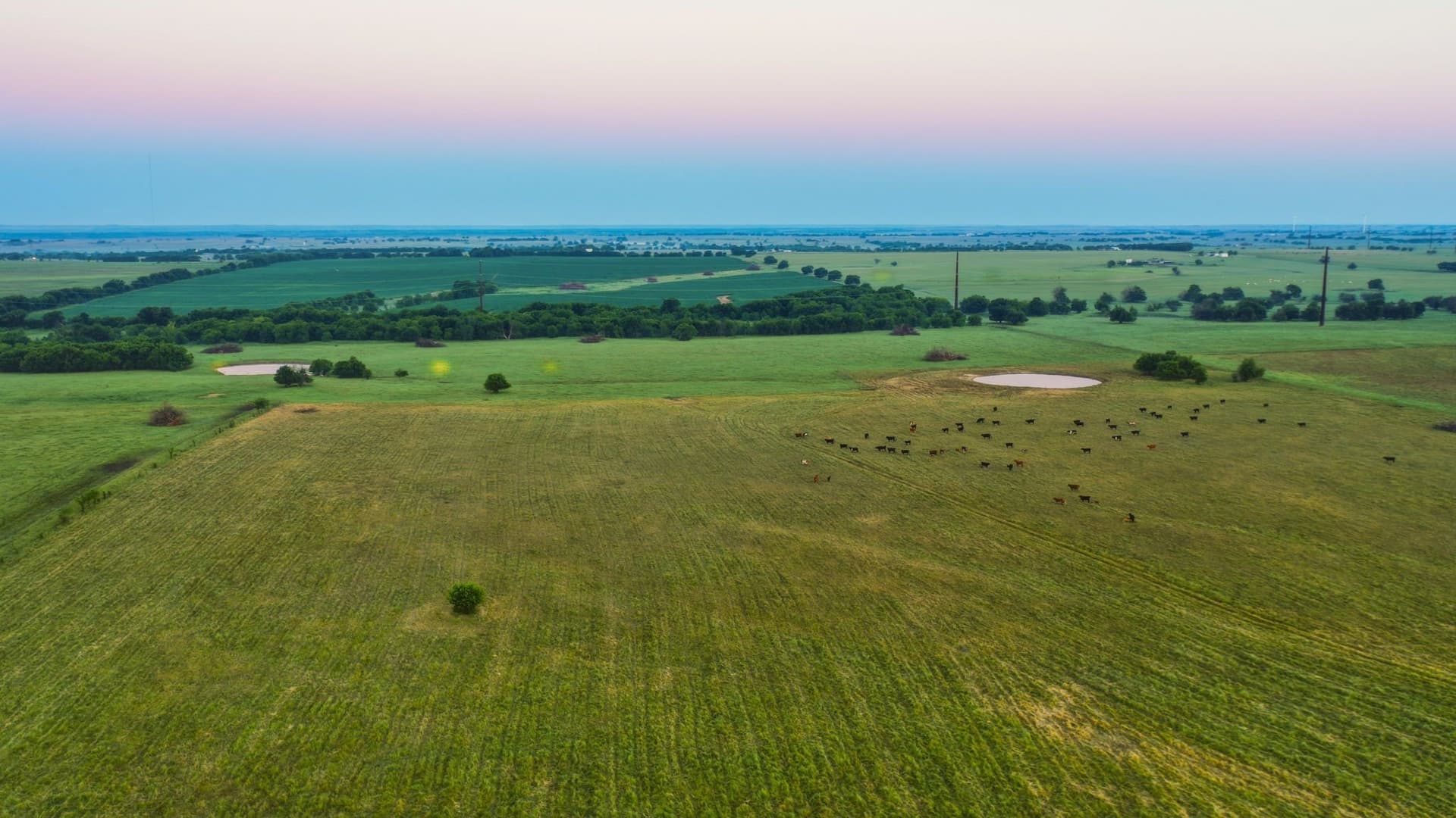 159.06 acres in Cooke County - photo 15