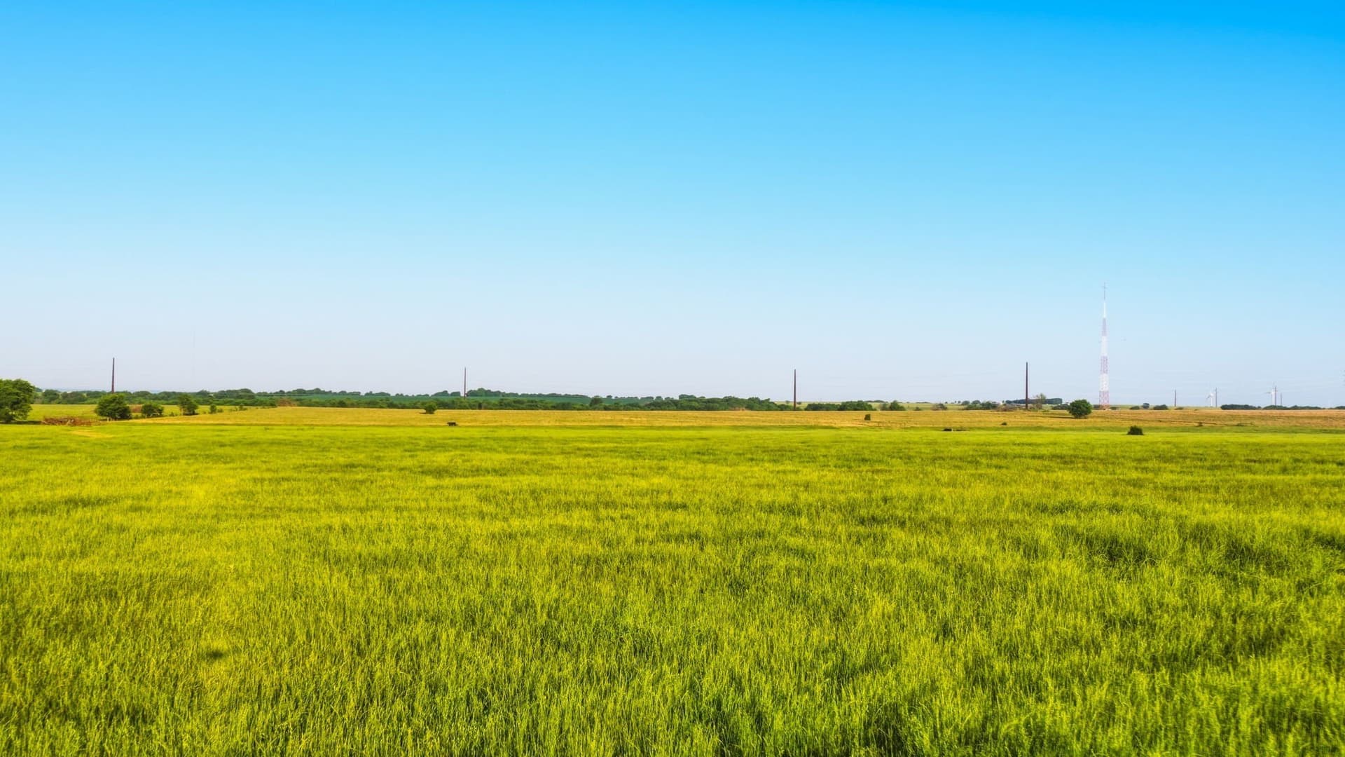 159.06 acres in Cooke County - photo 18