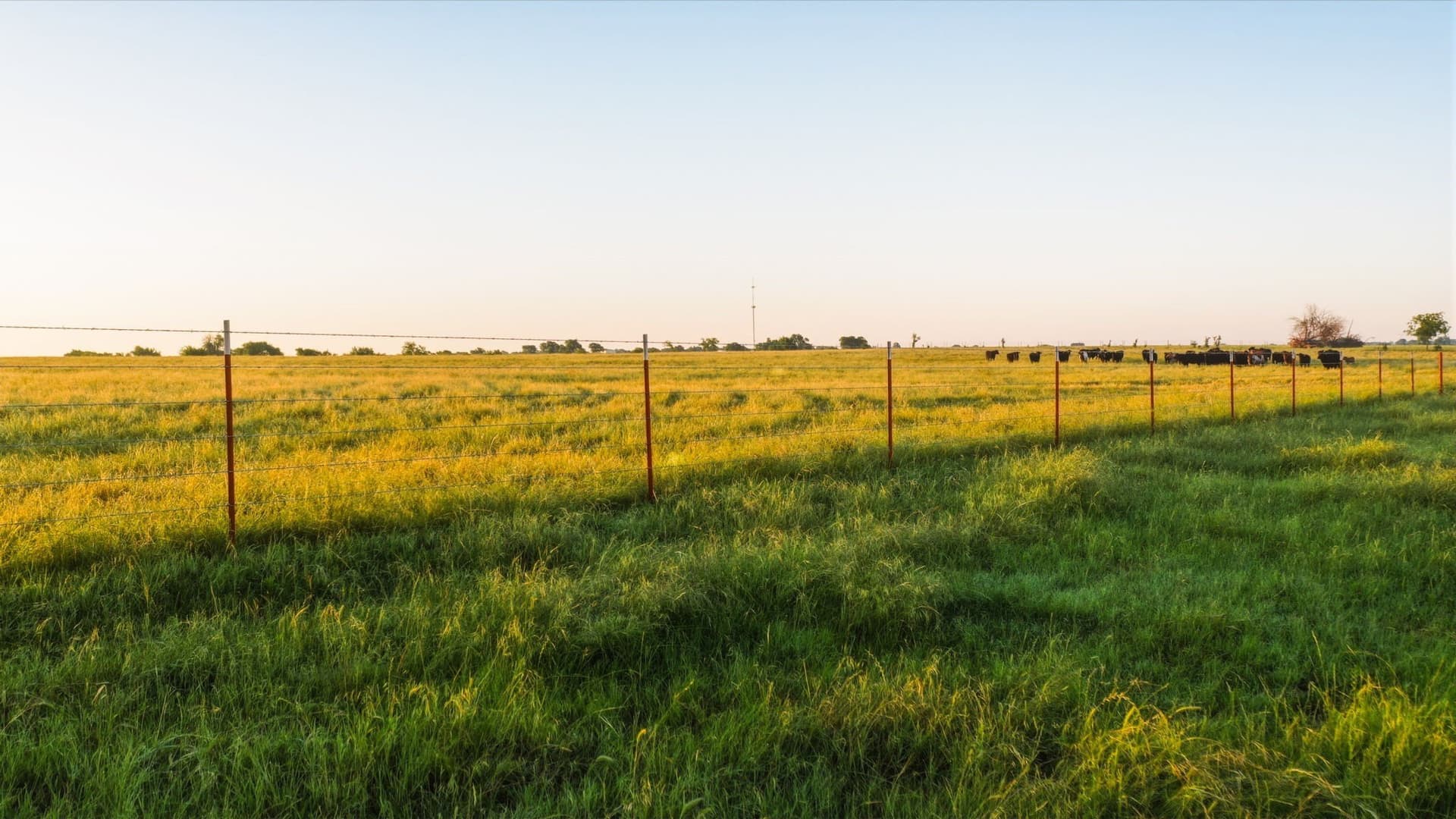 159.06 acres in Cooke County featured view
