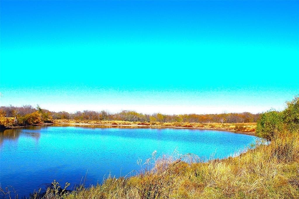 100 acres in Limestone County