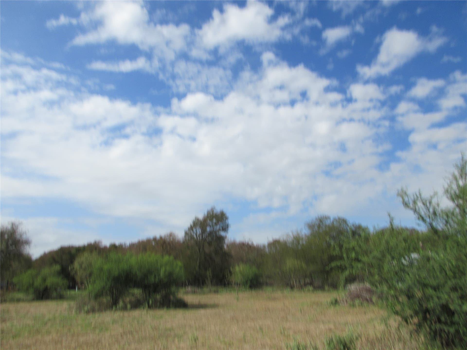 3.3 acres in Falls County - photo 3