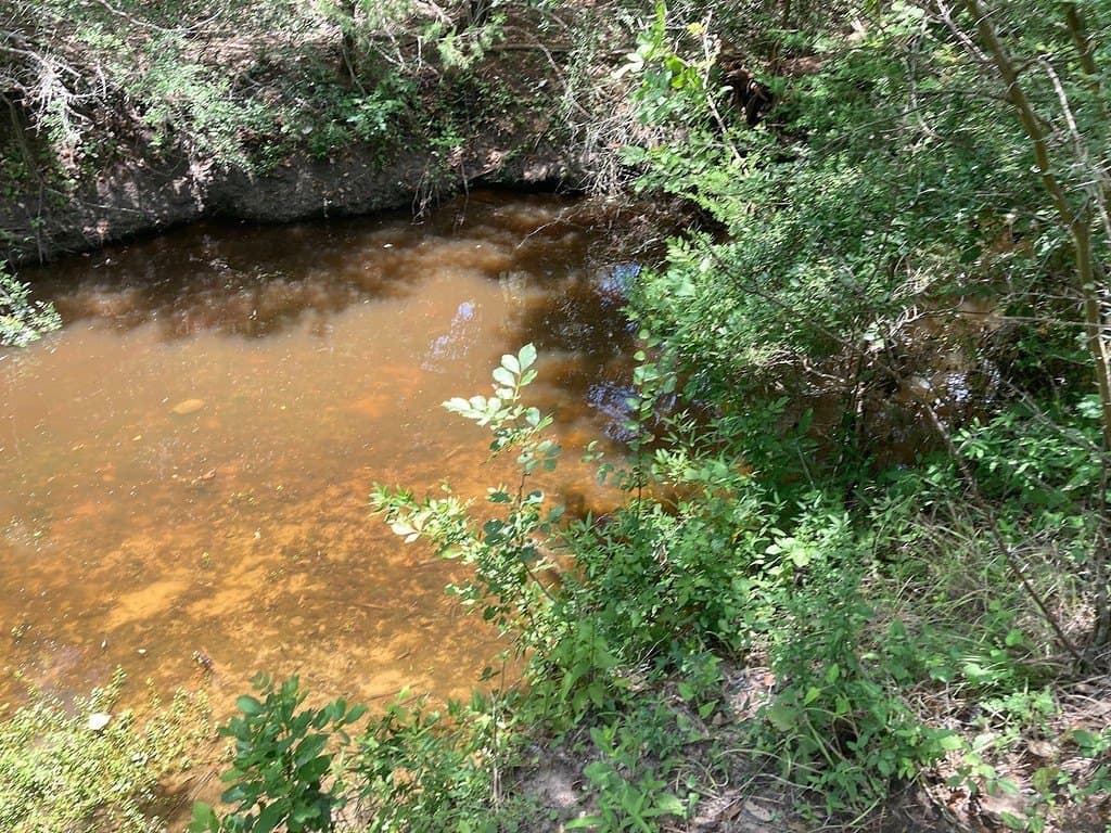 13.42 acres in Fayette County - photo 11