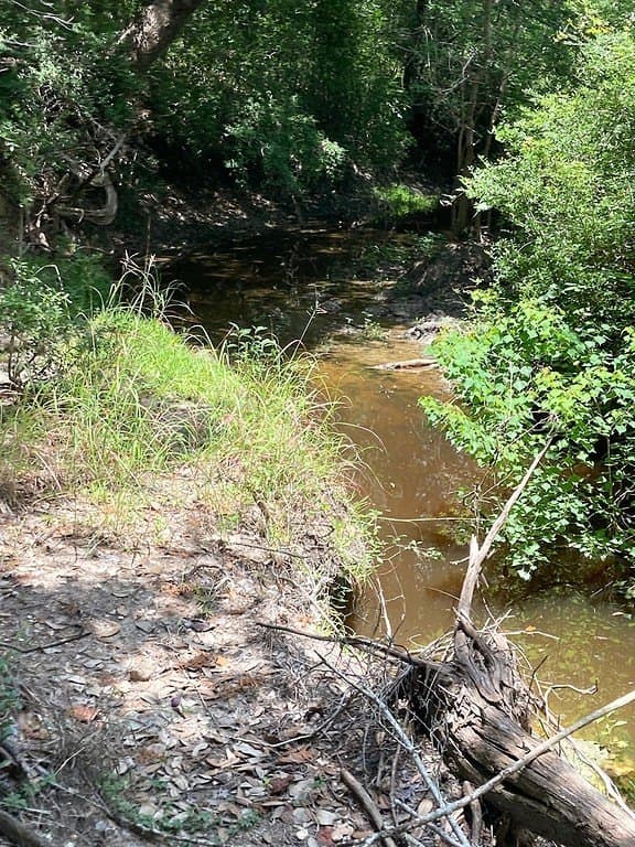 13.42 acres in Fayette County - photo 10