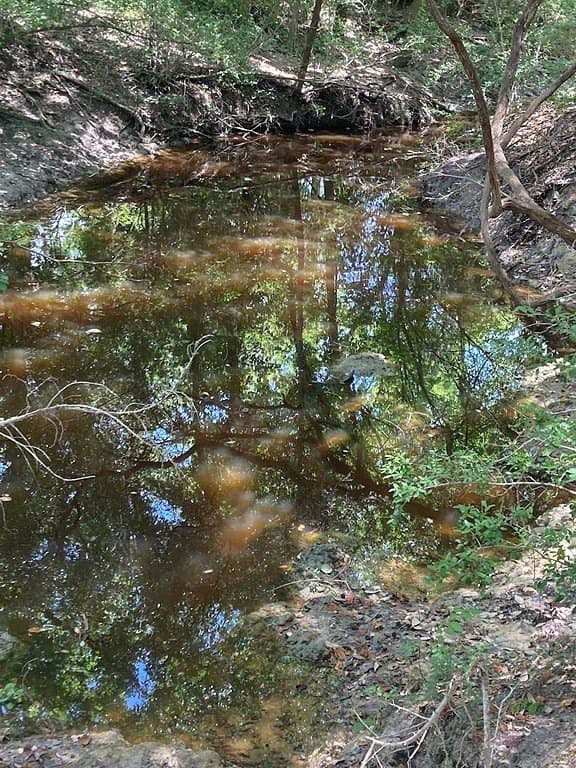 13.42 acres in Fayette County - photo 8