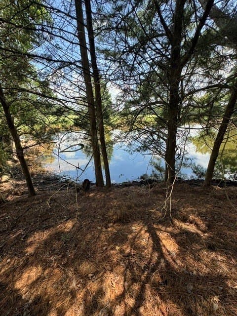 123.67 acres in Wood County - photo 7