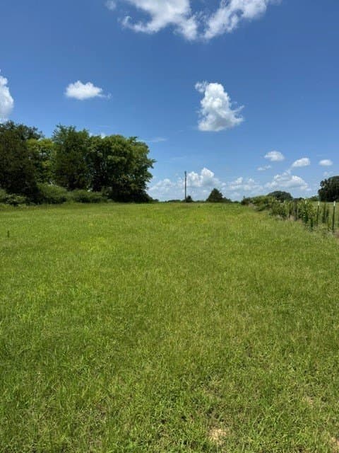 123.67 acres in Wood County - photo 10