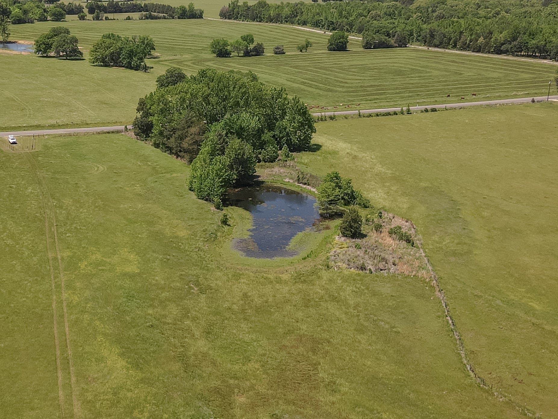 123.67 acres in Wood County - photo 31