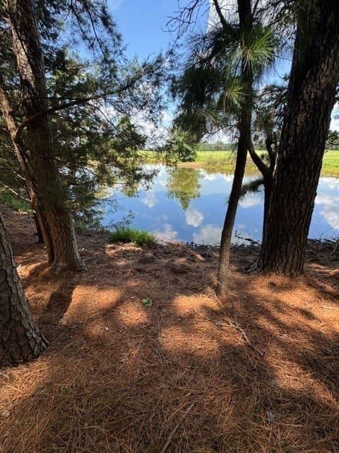123.67 acres in Wood County - photo 6