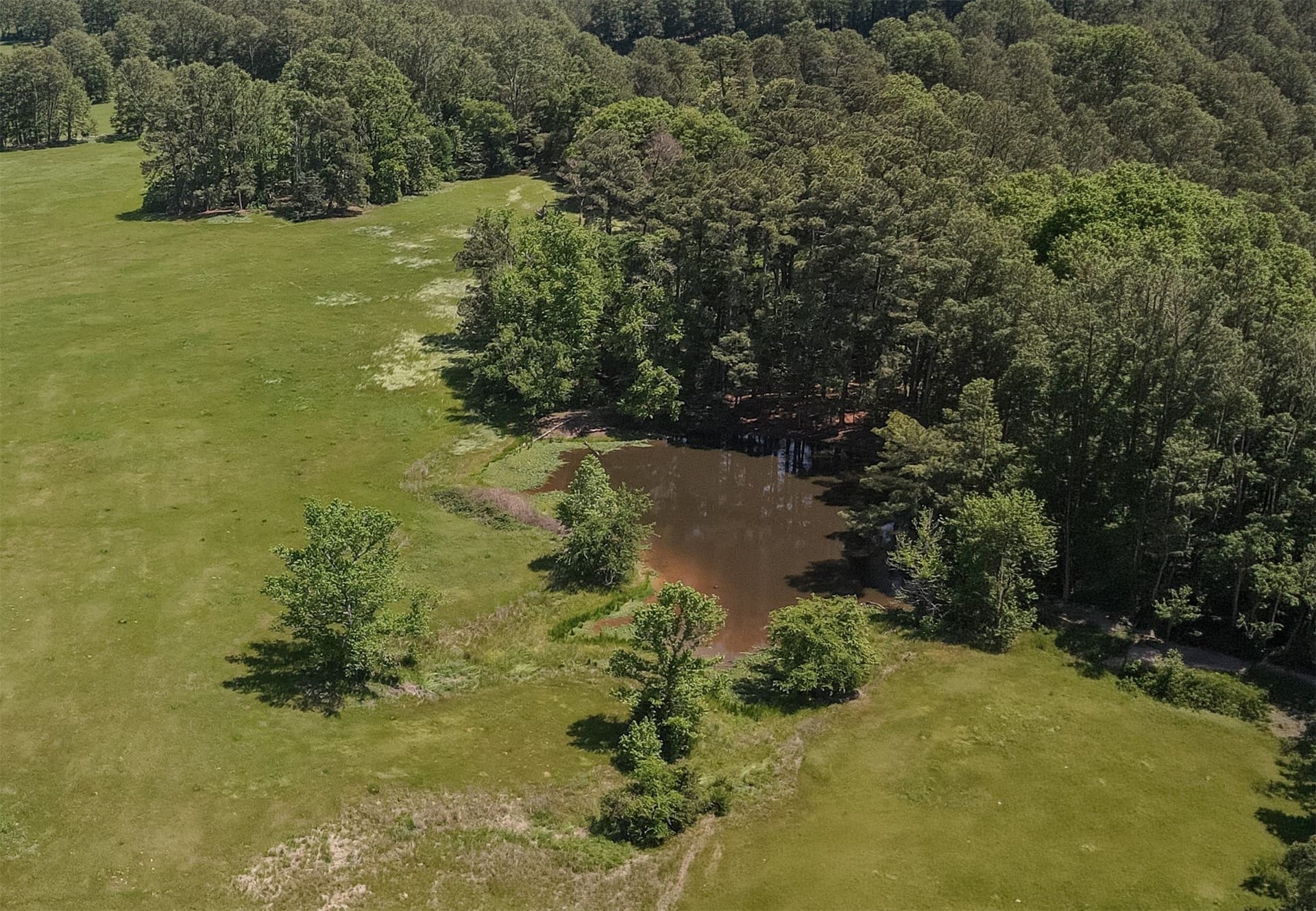 123.67 acres in Wood County - photo 19