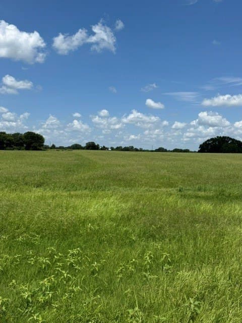 123.67 acres in Wood County - photo 9