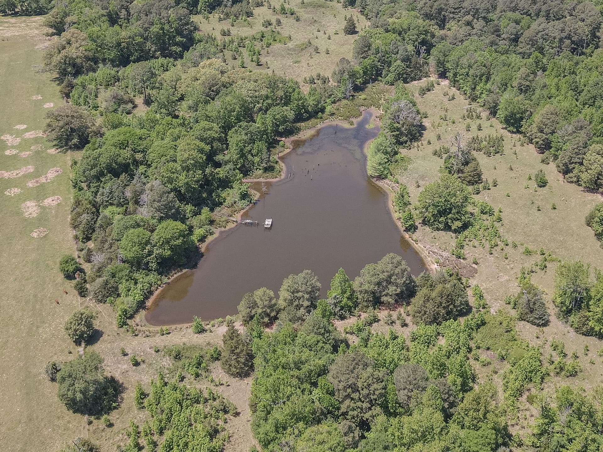 123.67 acres in Wood County - photo 34