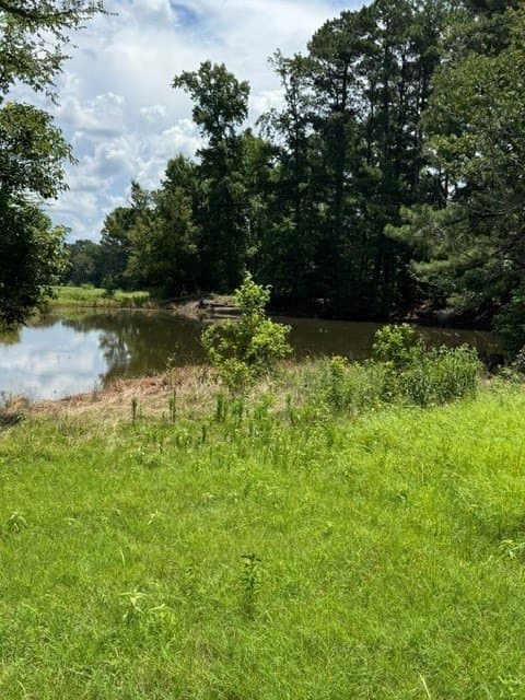 123.67 acres in Wood County - photo 8