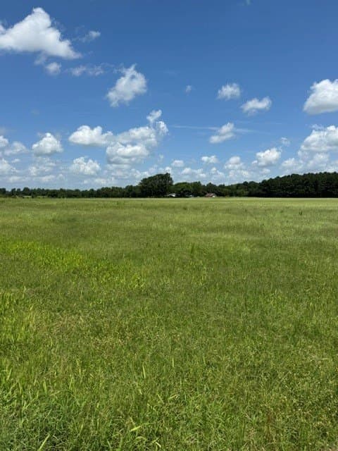123.67 acres in Wood County - photo 3