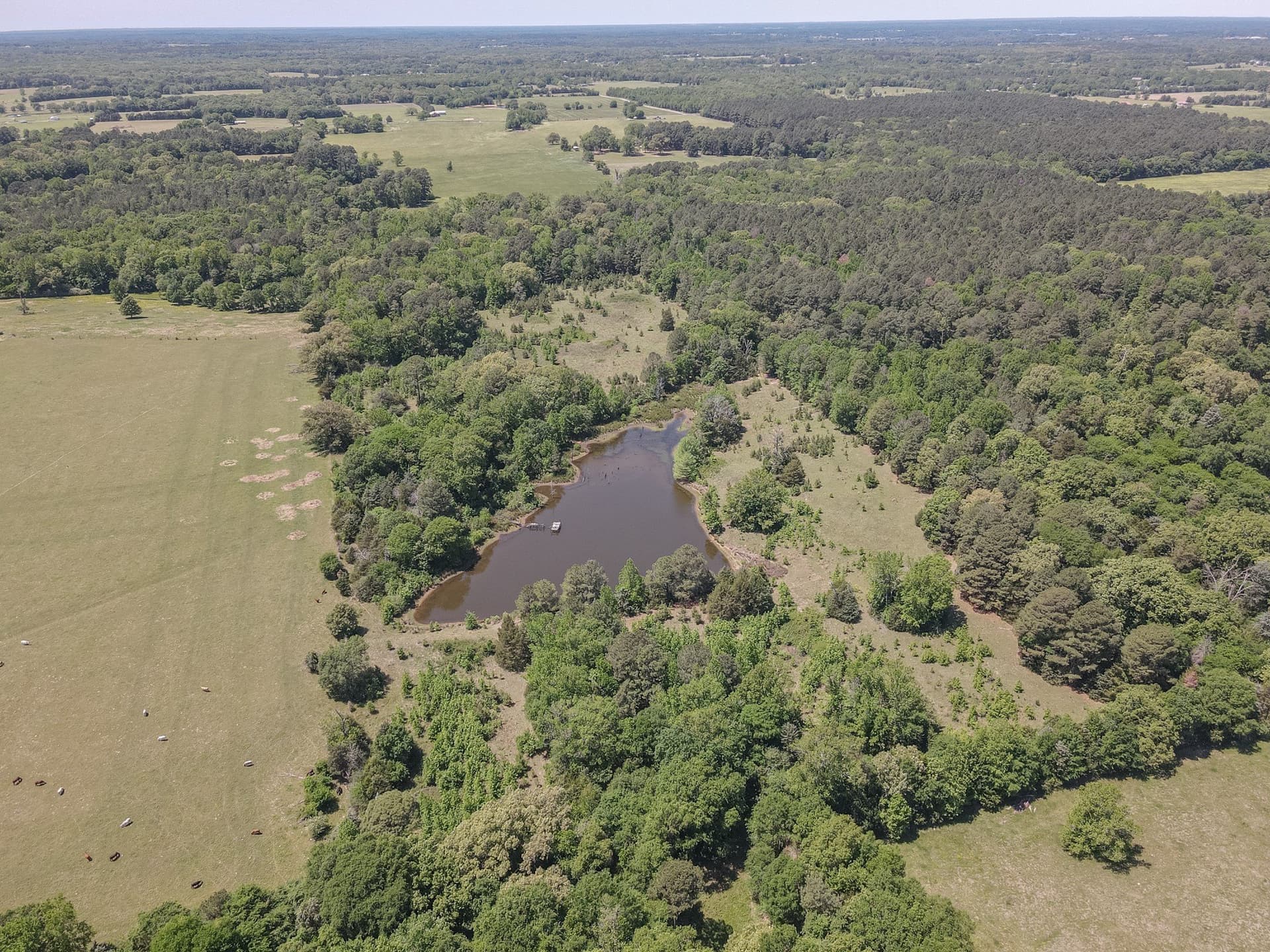 123.67 acres in Wood County - photo 33
