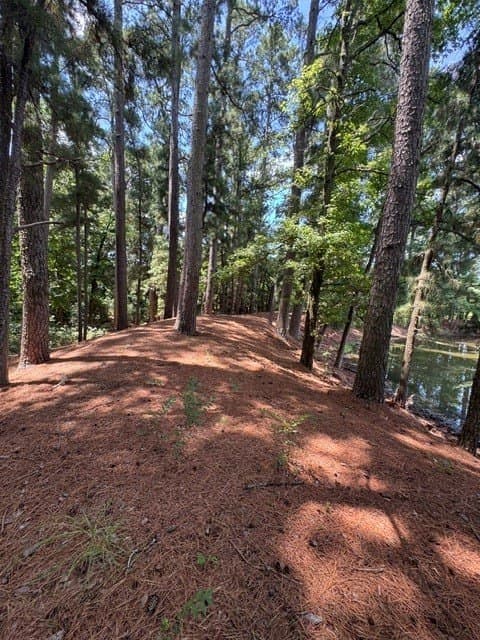 123.67 acres in Wood County - photo 5